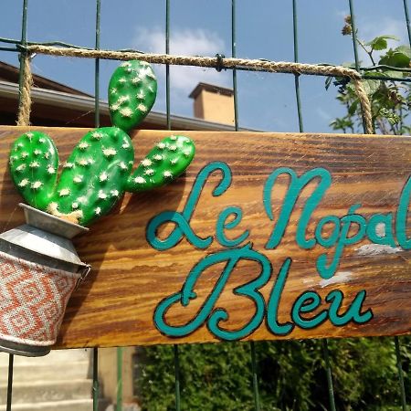 Le Nopal Bleu Διαμέρισμα Tarascon-sur-Ariège Εξωτερικό φωτογραφία