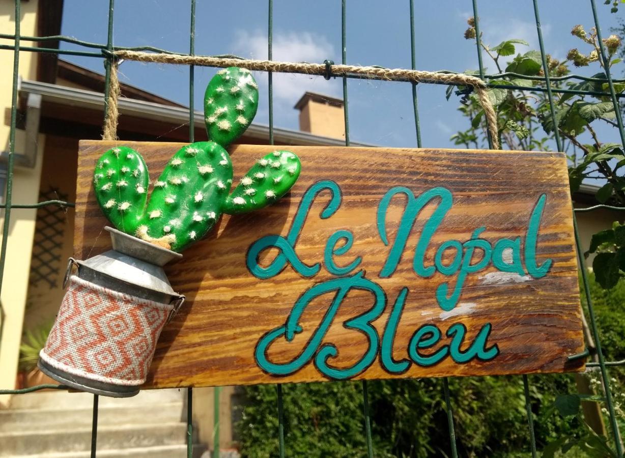 Le Nopal Bleu Διαμέρισμα Tarascon-sur-Ariège Εξωτερικό φωτογραφία