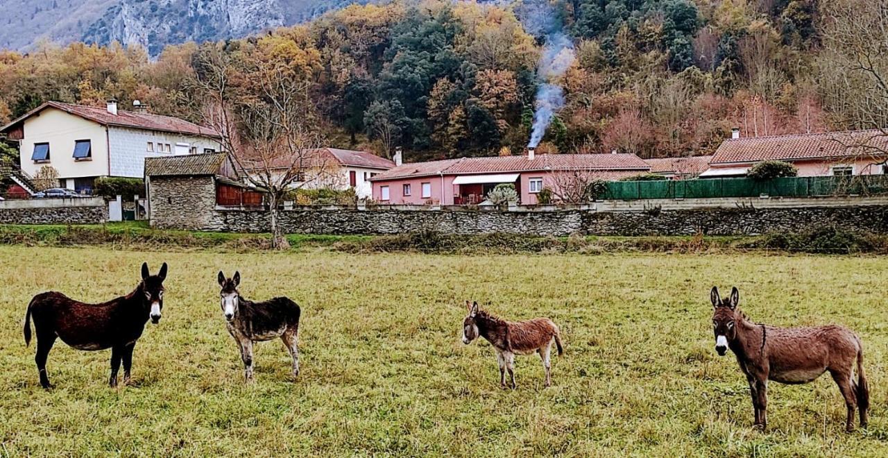 Le Nopal Bleu Διαμέρισμα Tarascon-sur-Ariège Εξωτερικό φωτογραφία